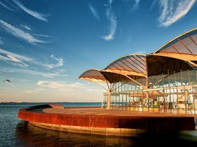 The Carousel