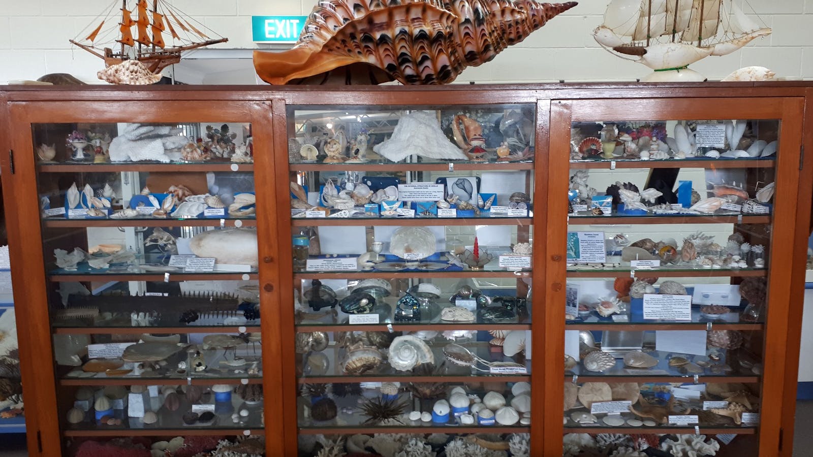 Shell World Yeppoon