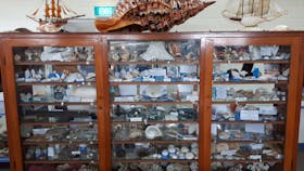 Shell World Yeppoon