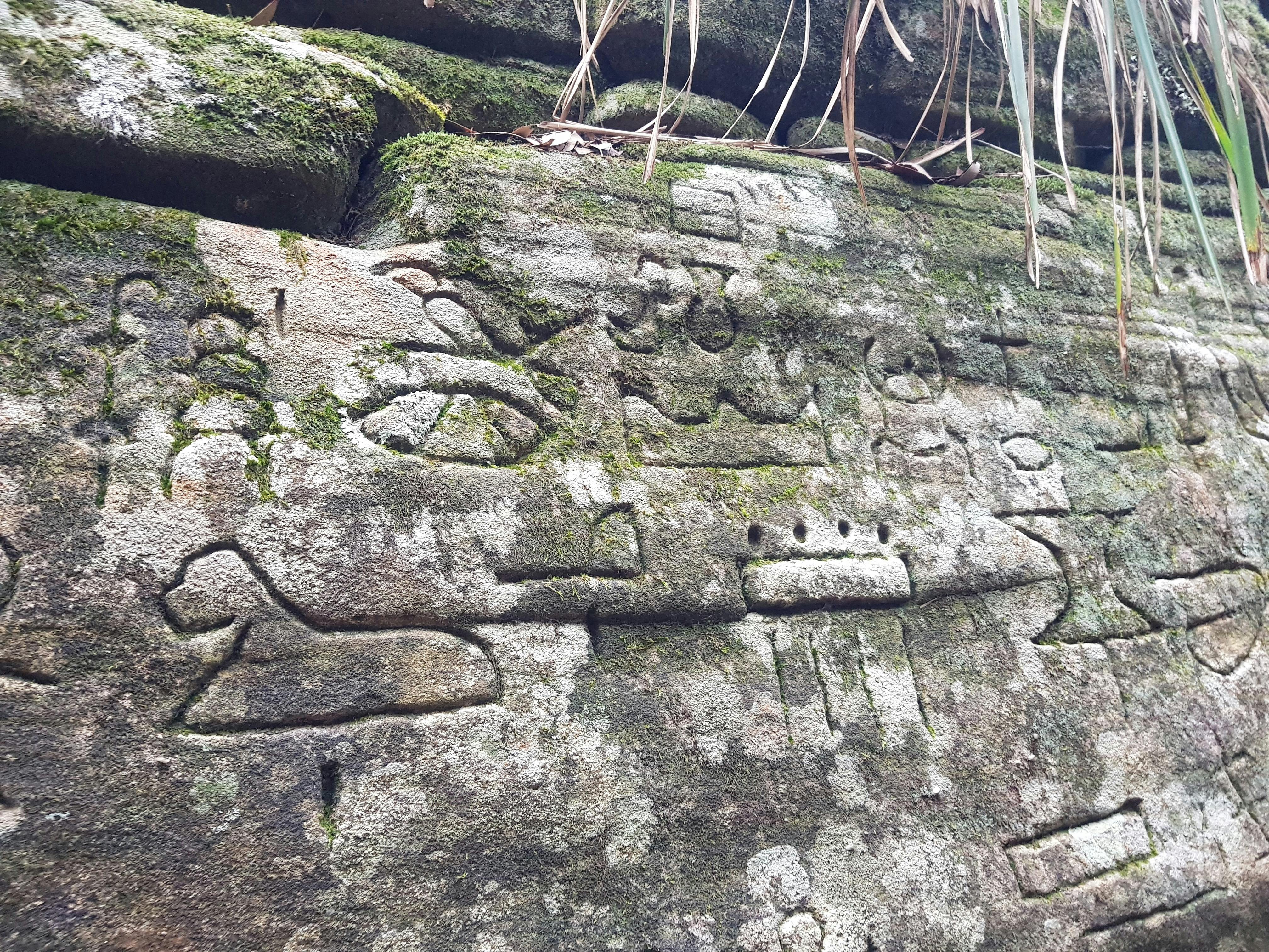 Gosford Glyphs tour NSW Holidays & Things to Do