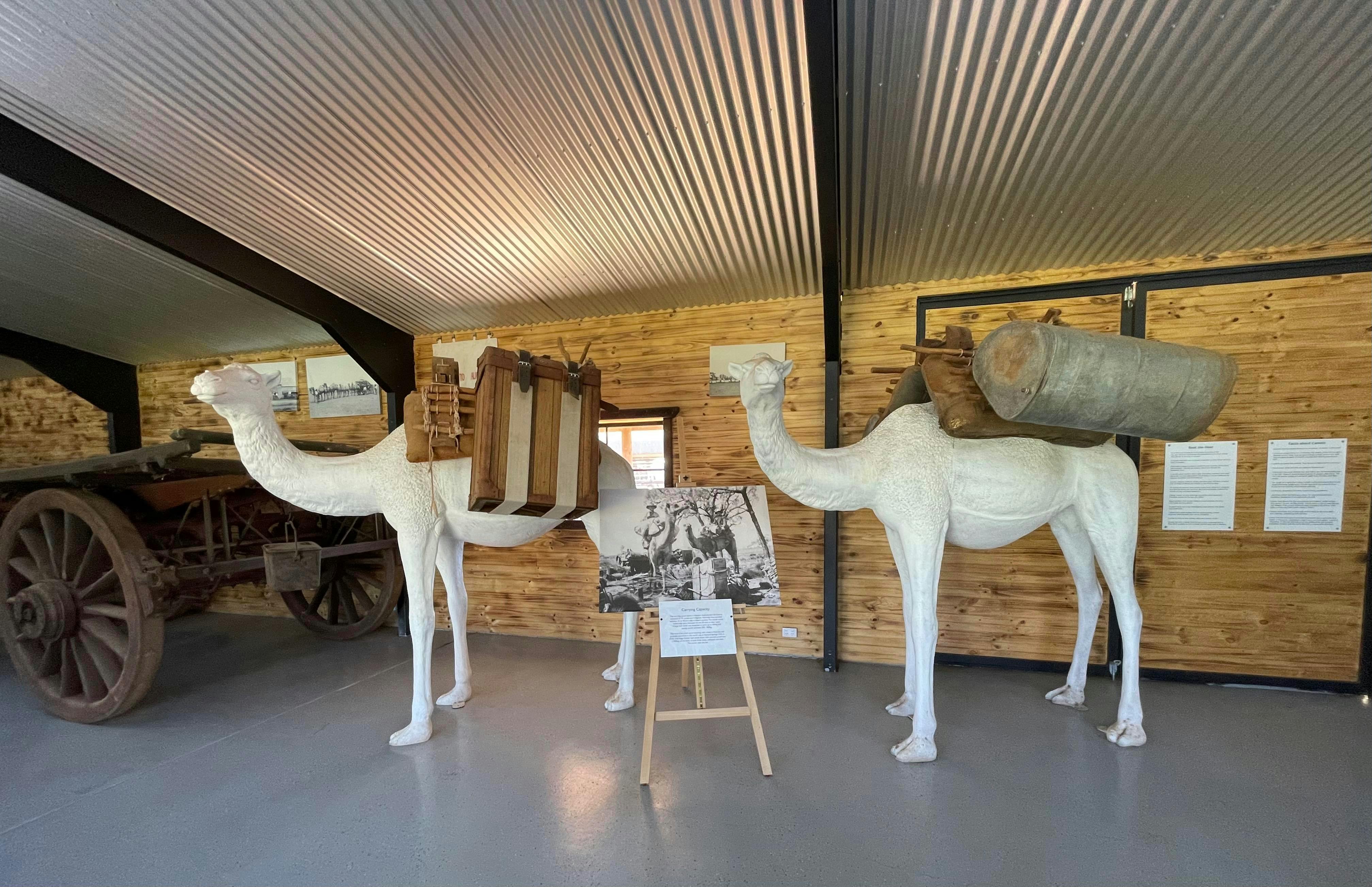 Museum