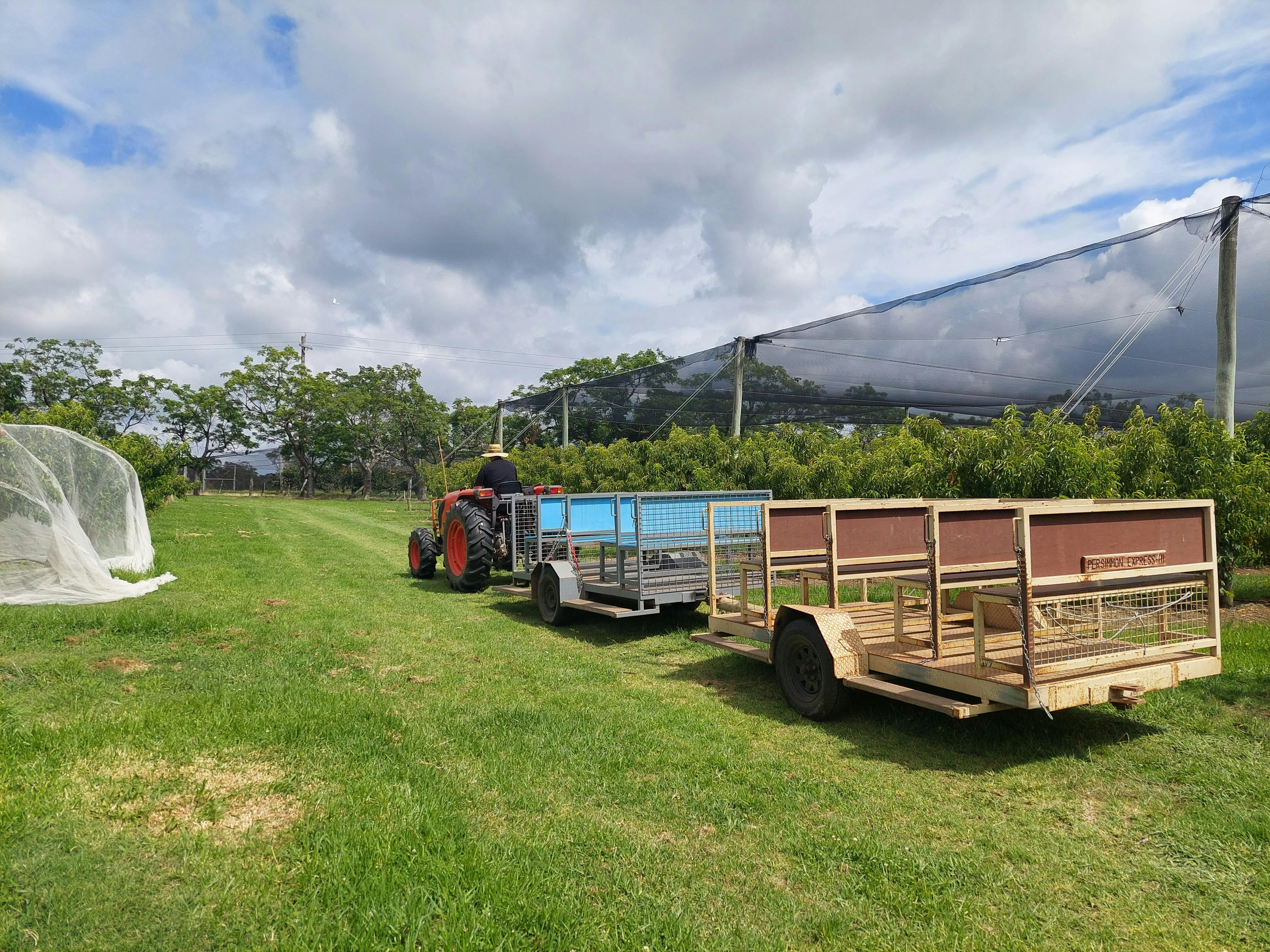 シダー クリーク オーチャード