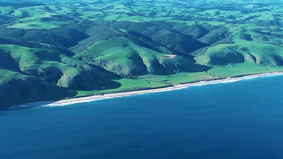Kangaroo Island Dolphin Run One Hour and 45 Minute Tour