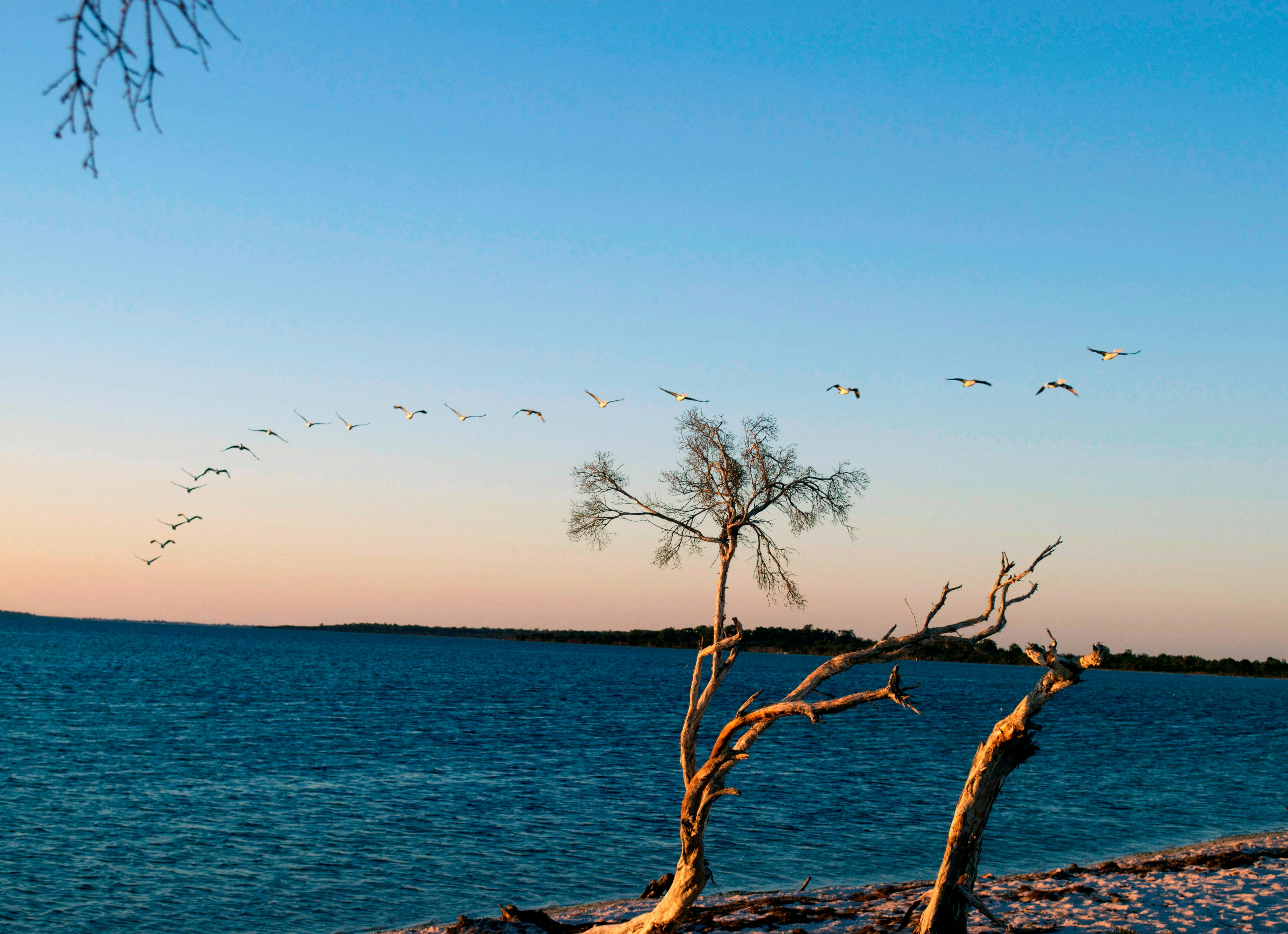 Sunset over the Peel Harvey Estuary at Herron Point Campground