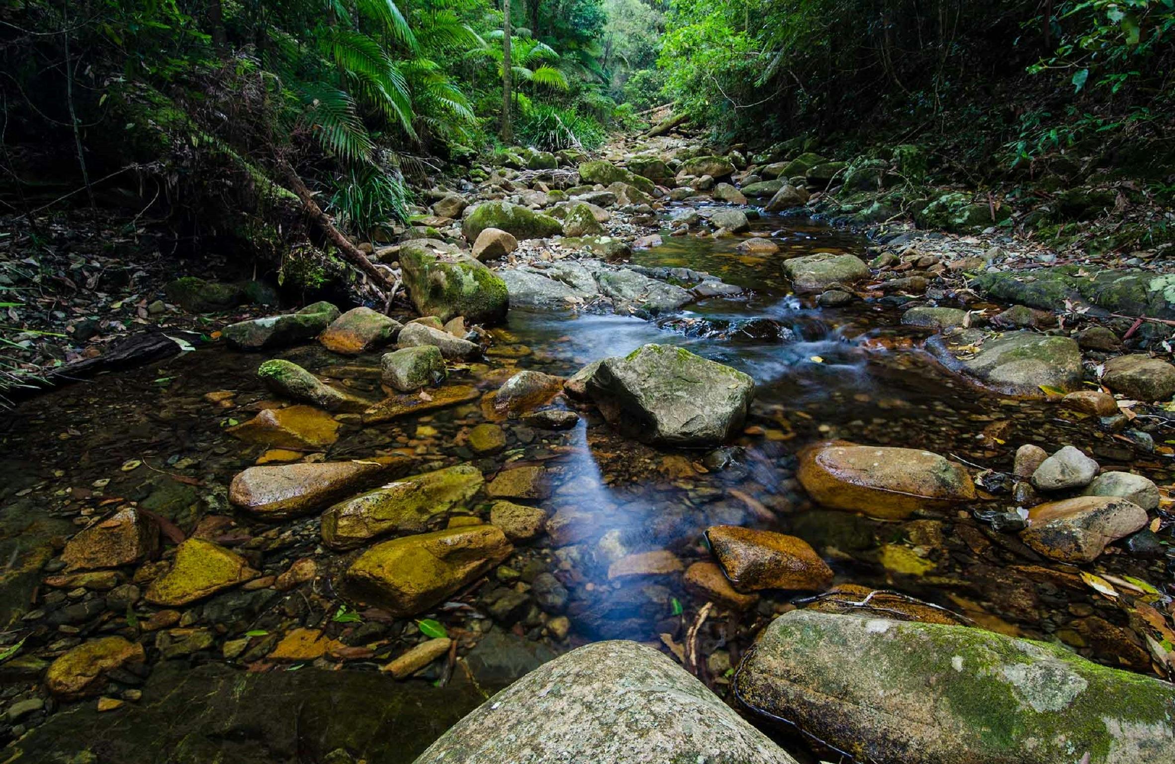 Willi Willi National Park, Macleay Valley Coast
