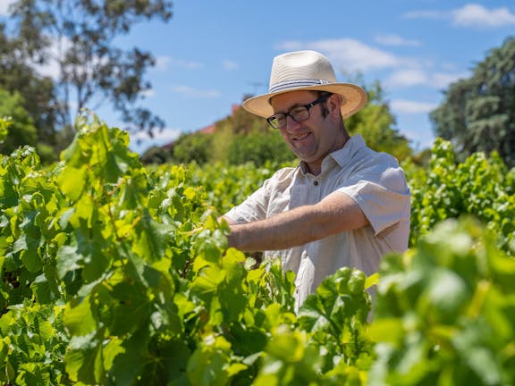 Burge Family Winemakers