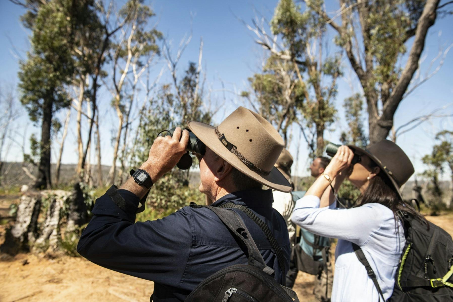 Guests wearing wide brimmed hats holding binoculars looking for native birds in the gum trees above.