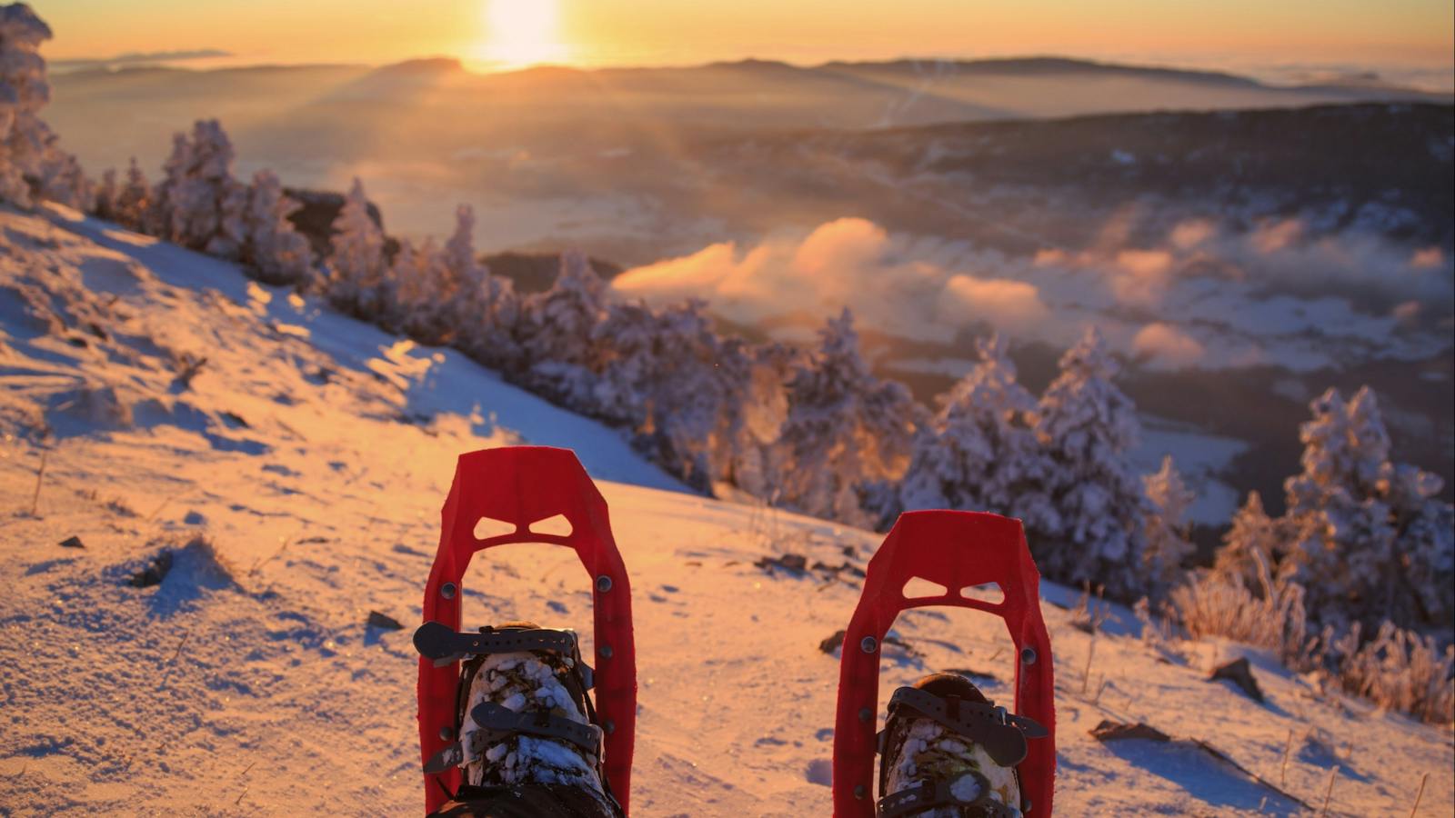 snowshoes