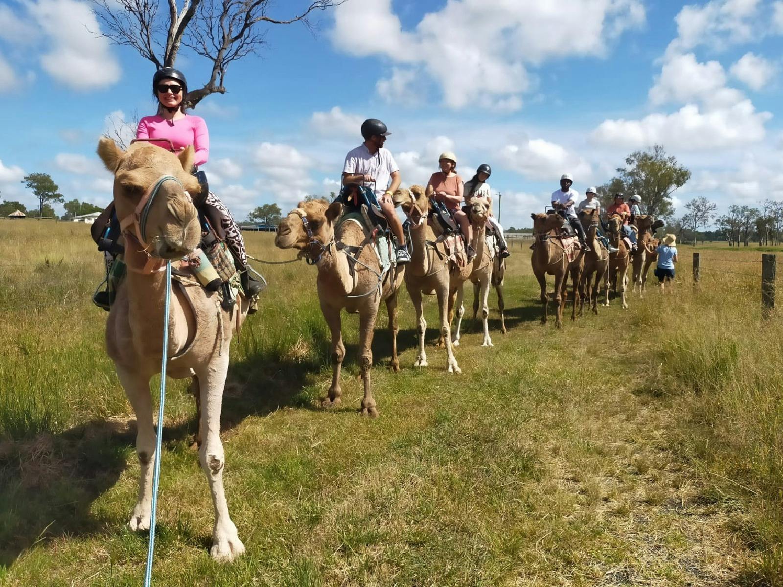 Camel Trail Ride at Summer Land Camels
