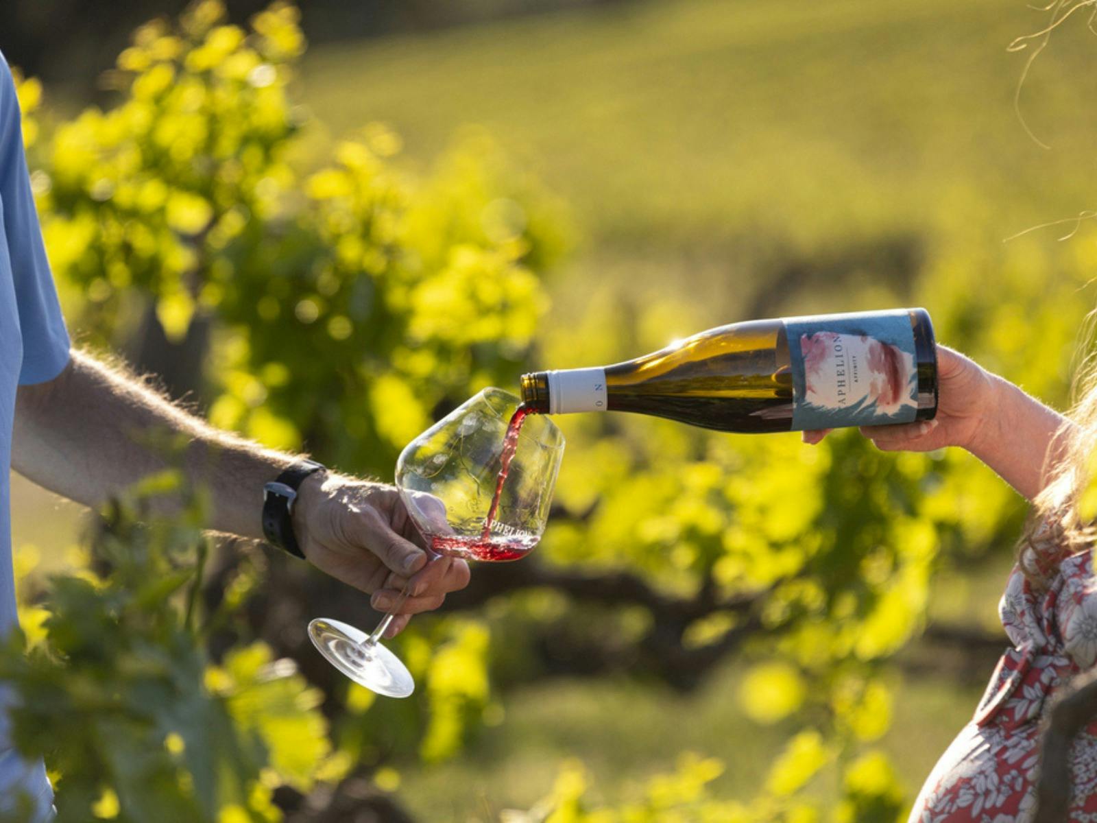Two arms in front of a vineyard, one pouring wine and one holding a wine glass