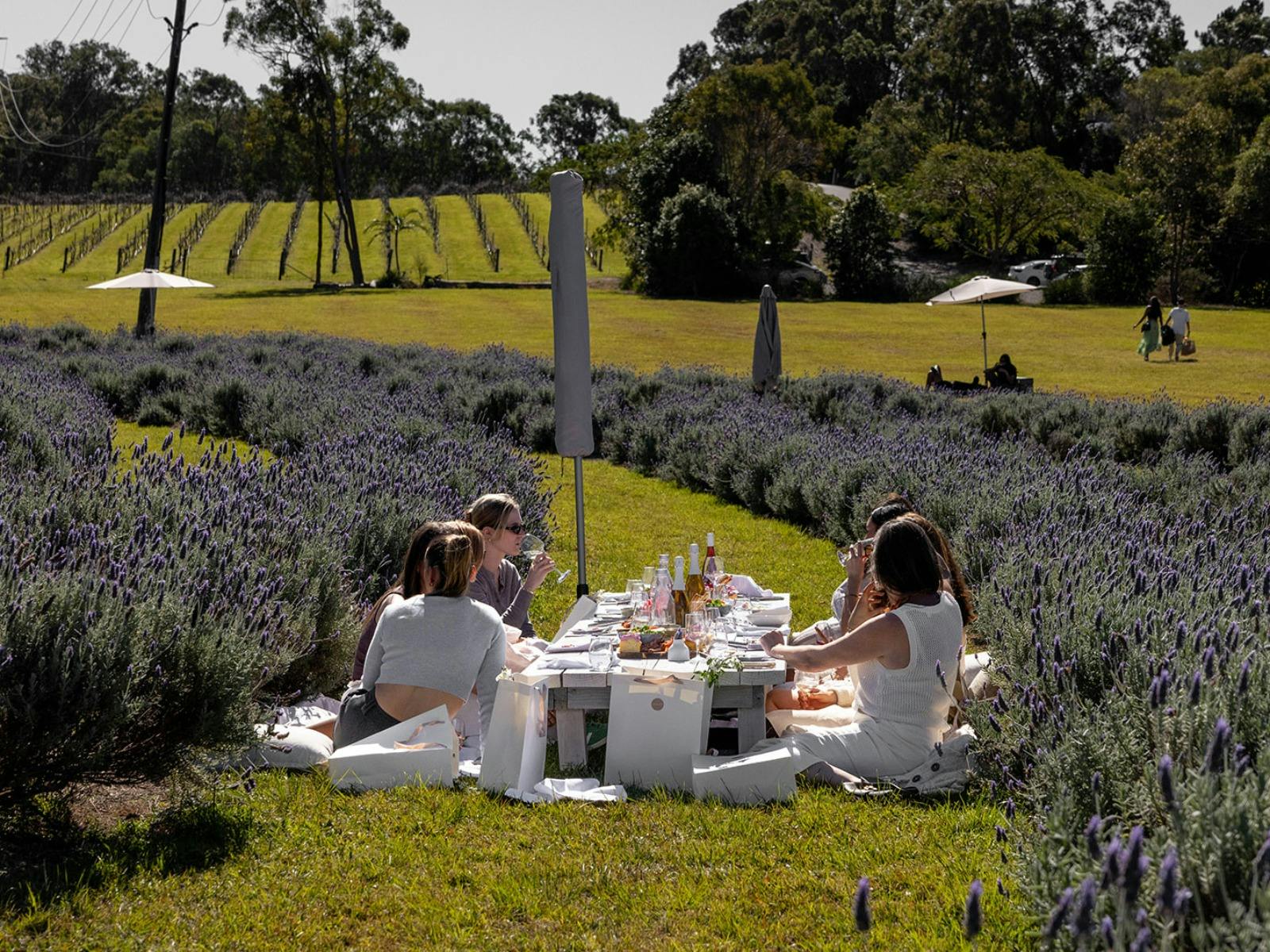 Lavender Hill