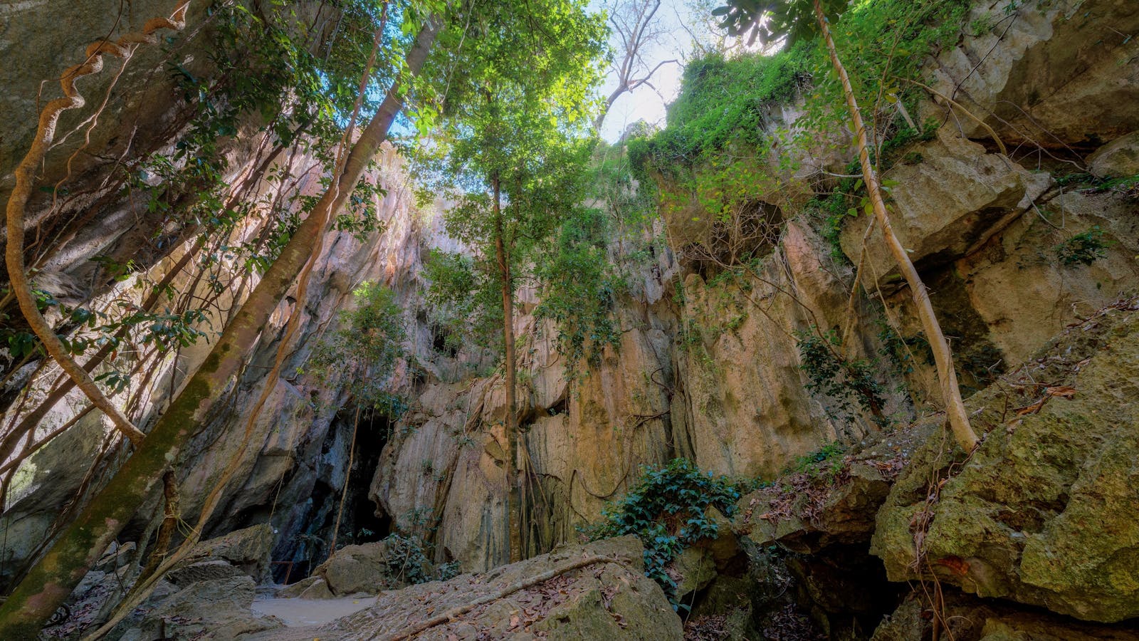 Capricorn Caves - Tours