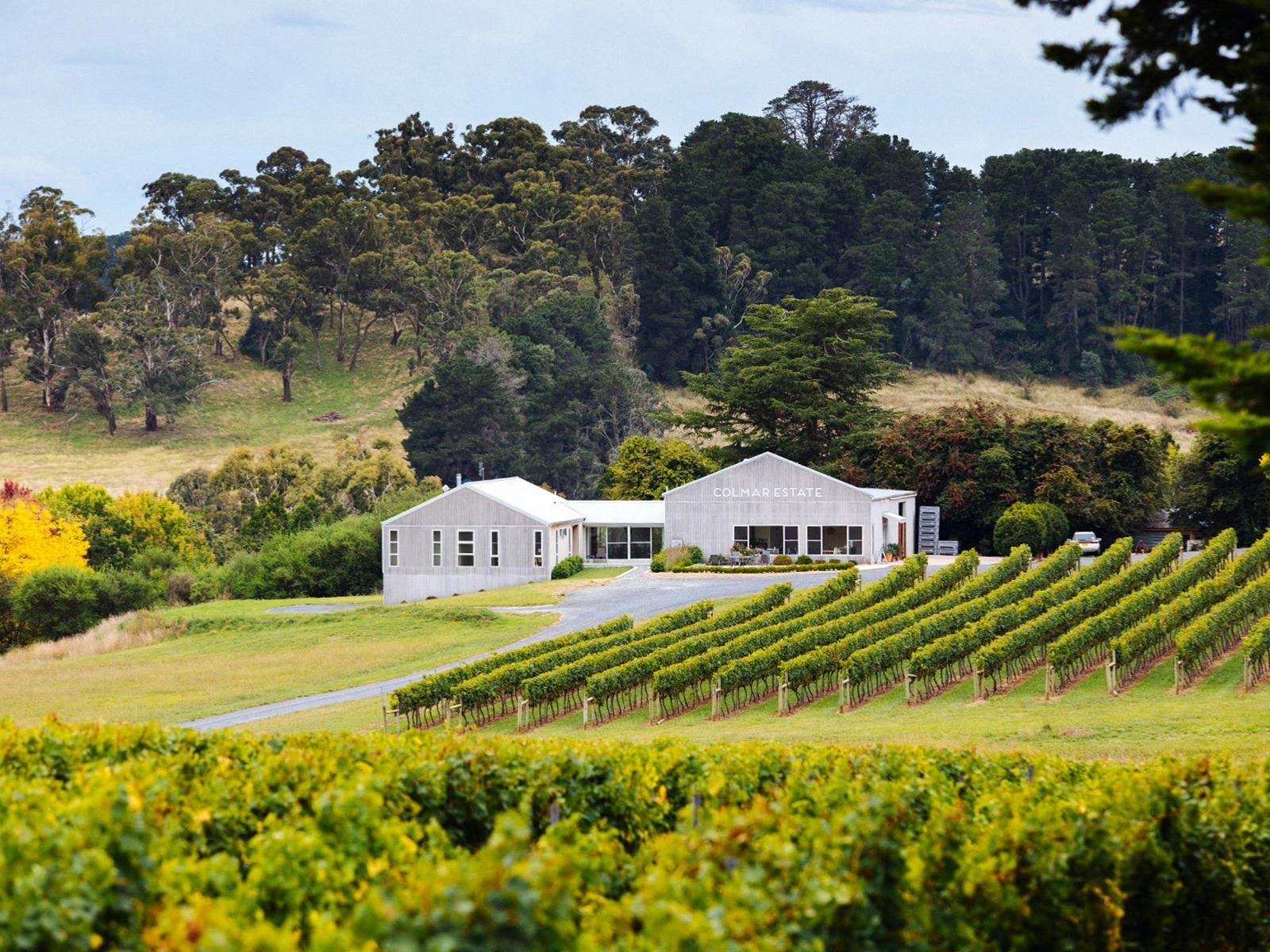 Long lunch and jazz with Colmar and Lucetta