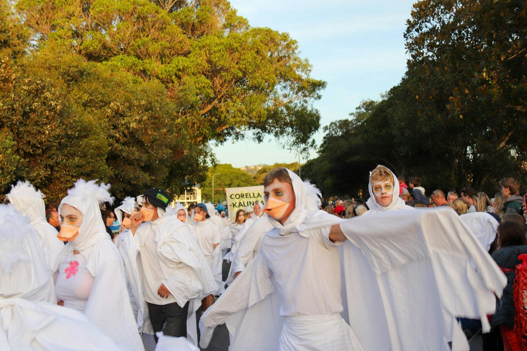 Winning float Corella-Kalinga walking in the pageant.