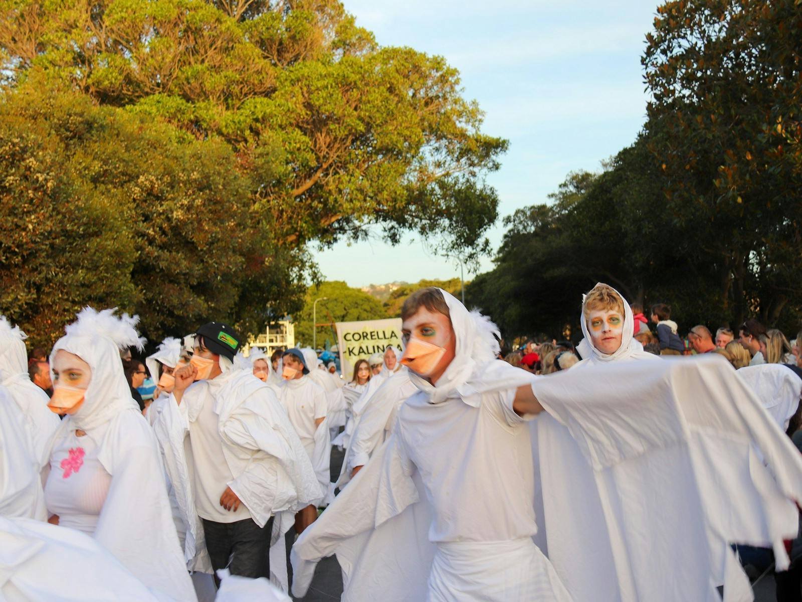 Winning float Corella-Kalinga walking in the pageant.