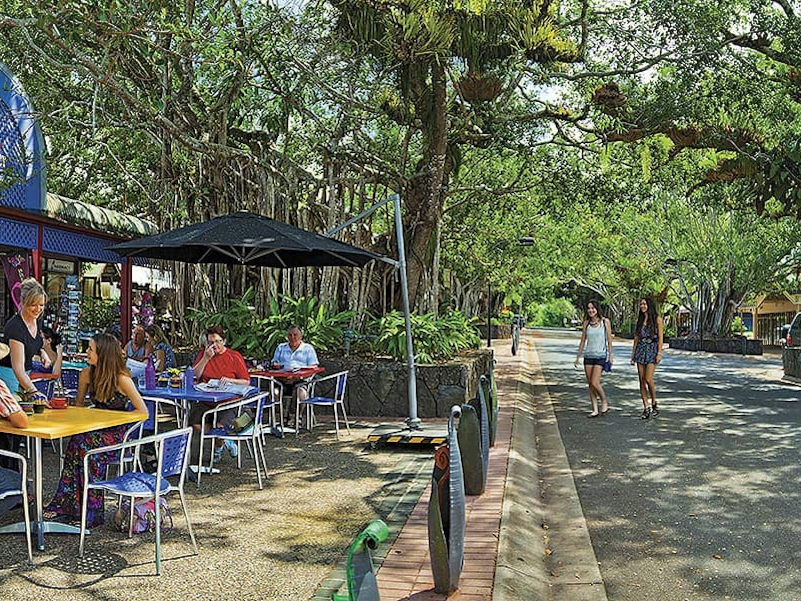 Forest and Waterfalls Half-day 4WD Adventure