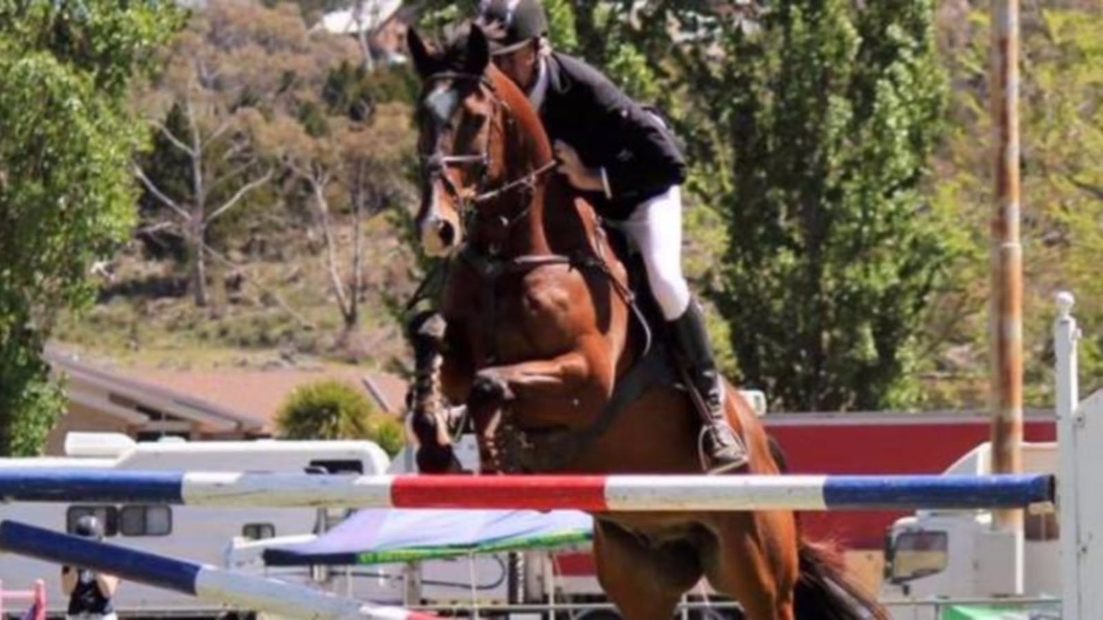 Image for Mirrabooka Show Jumping Cup