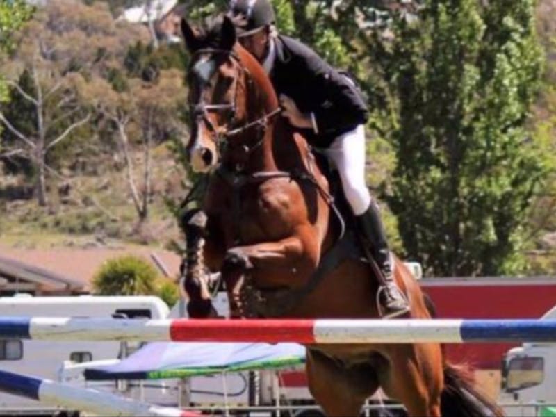 Mirrabooka Show Jumping Cup