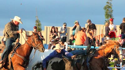 Rodeo