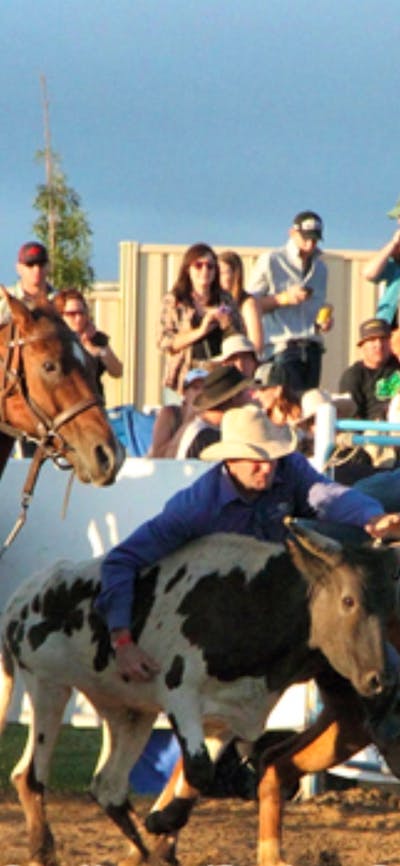 Rodeo