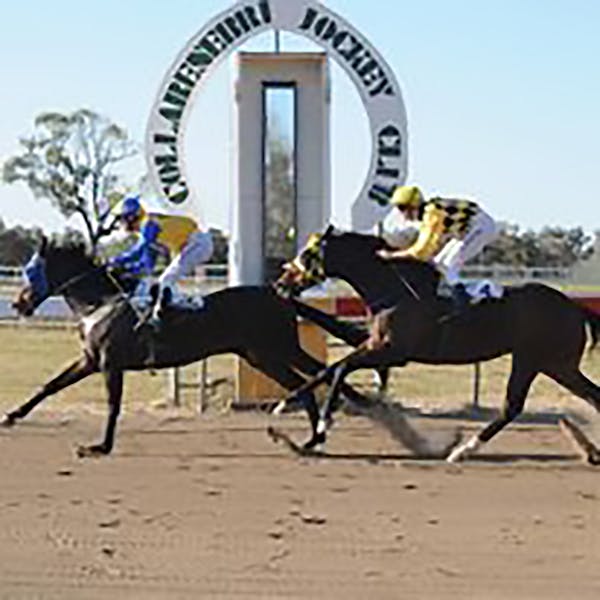 Collarenebri Races