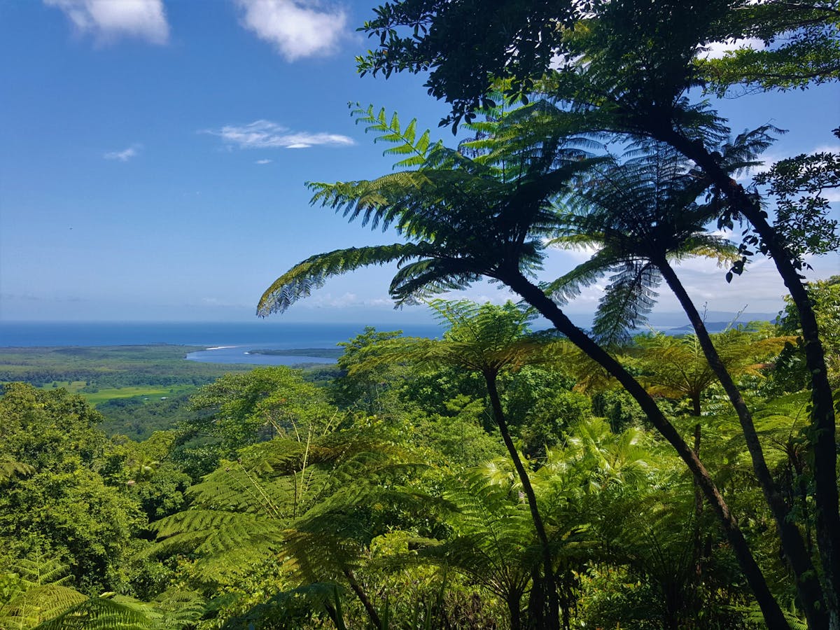 A view of the Daintree River and Coastline from the Mount Alexandra Lookout