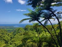 A view of the Daintree River and Coastline from the Mount Alexandra Lookout
