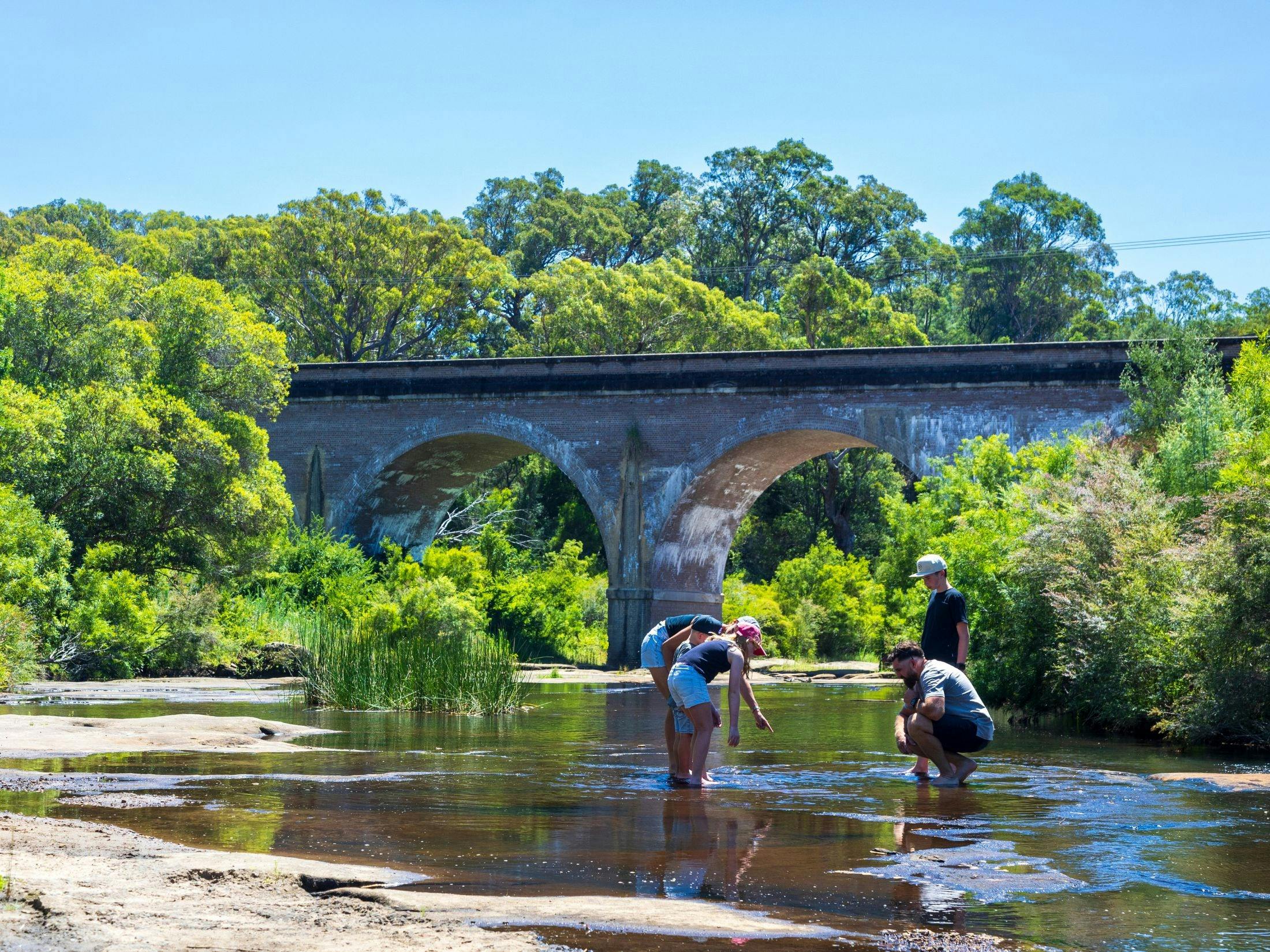 Paddling at Bargo River Viaduct