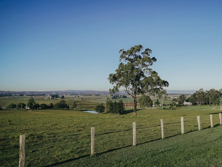 View from Bolwarra Lookout