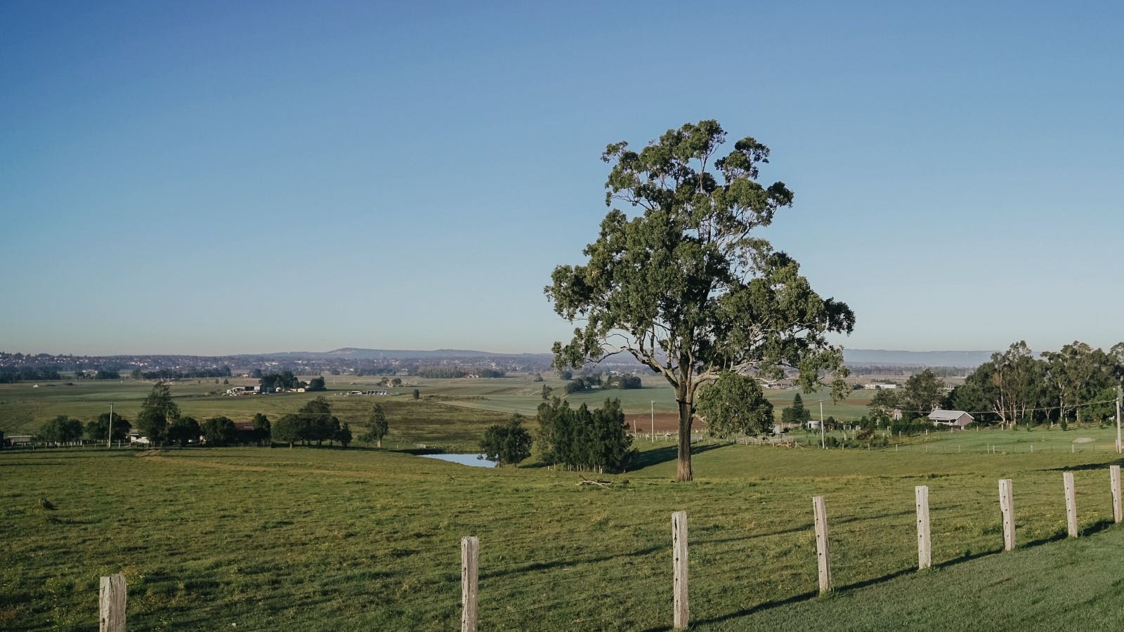 View from Bolwarra Lookout