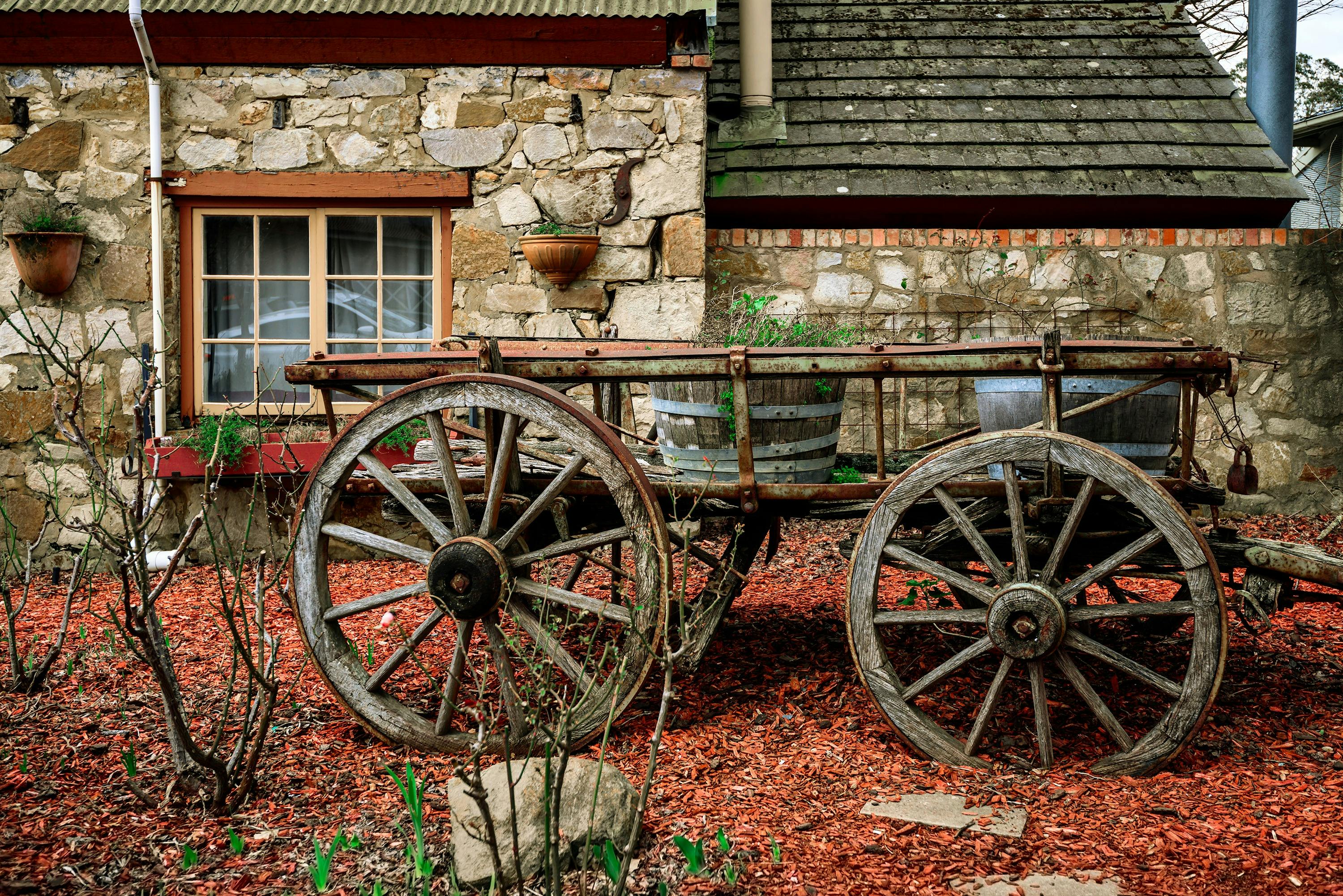 Hahndorf and Barossa Tour