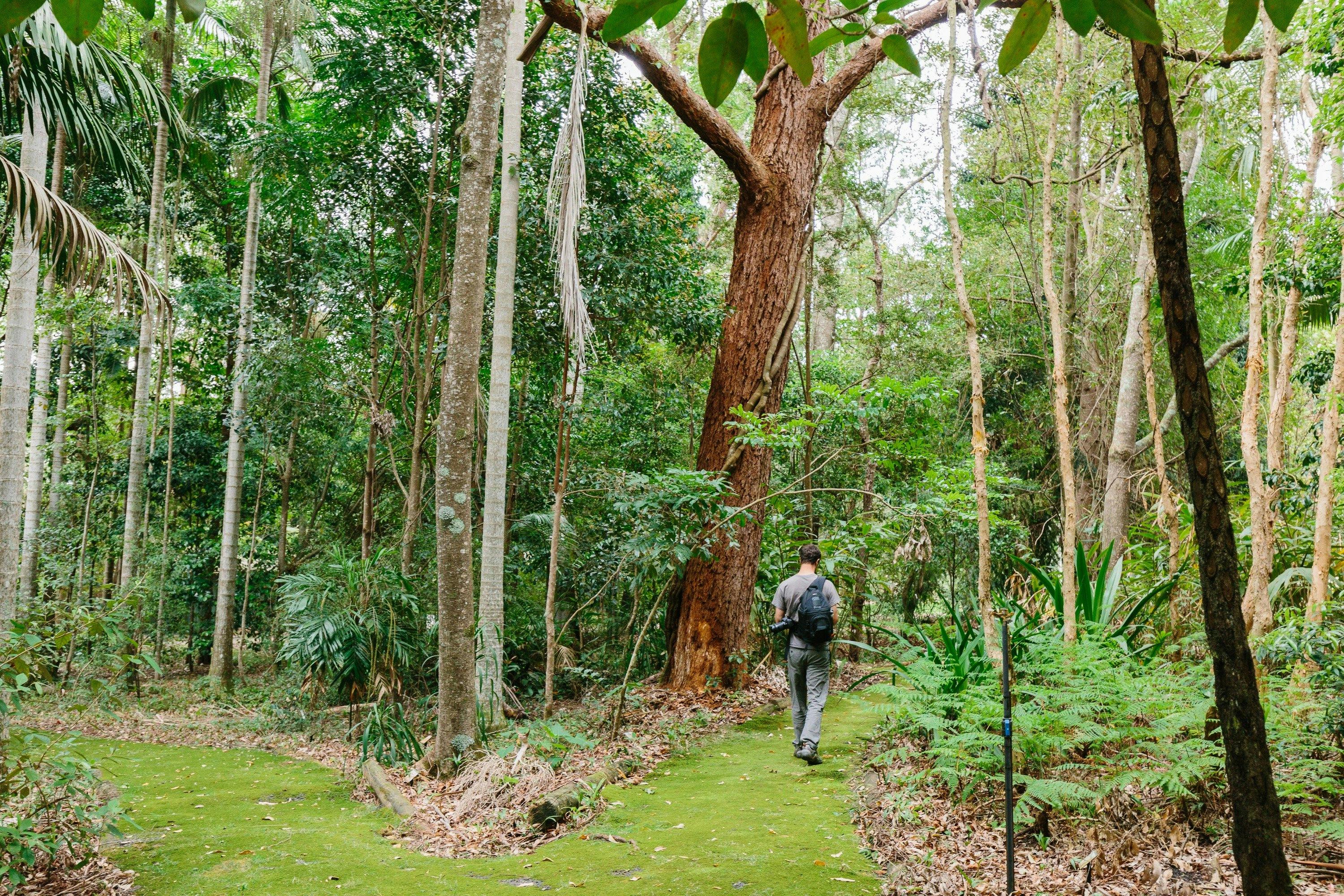 Botanic Gardens, Booderee National Park