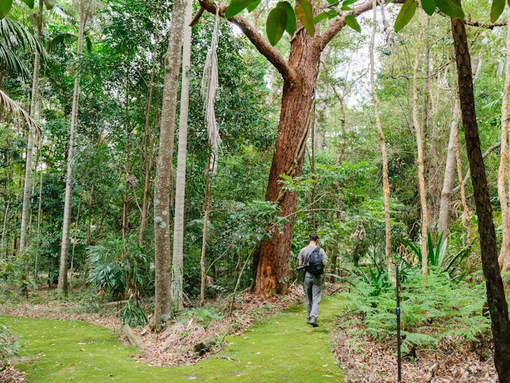 Botanic Gardens, Booderee National Park