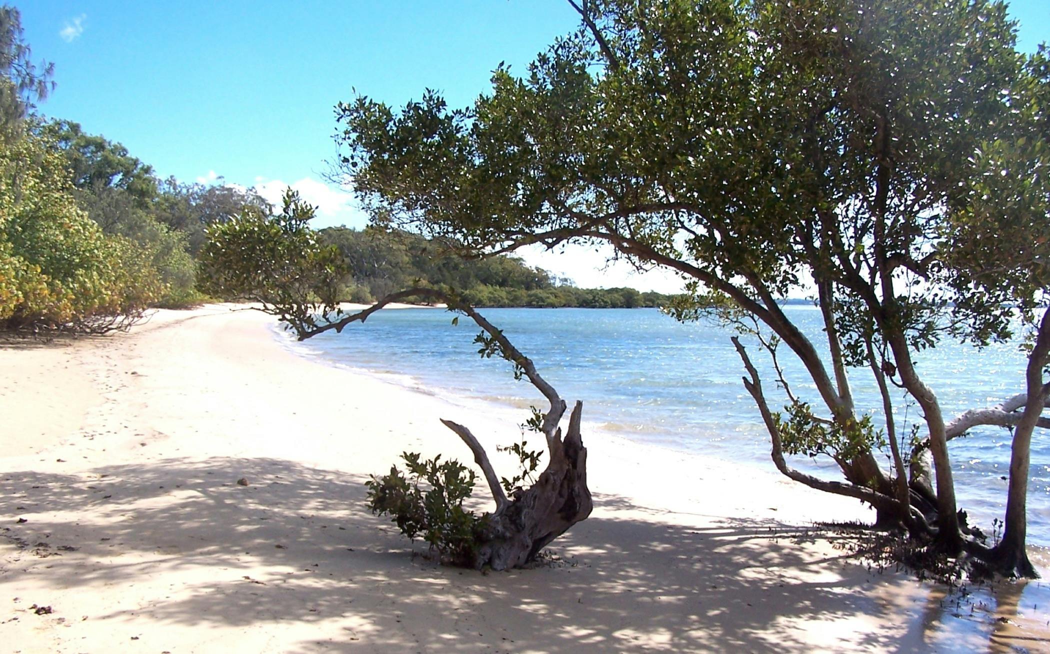 One of the secluded beaches at Coochiemudlo