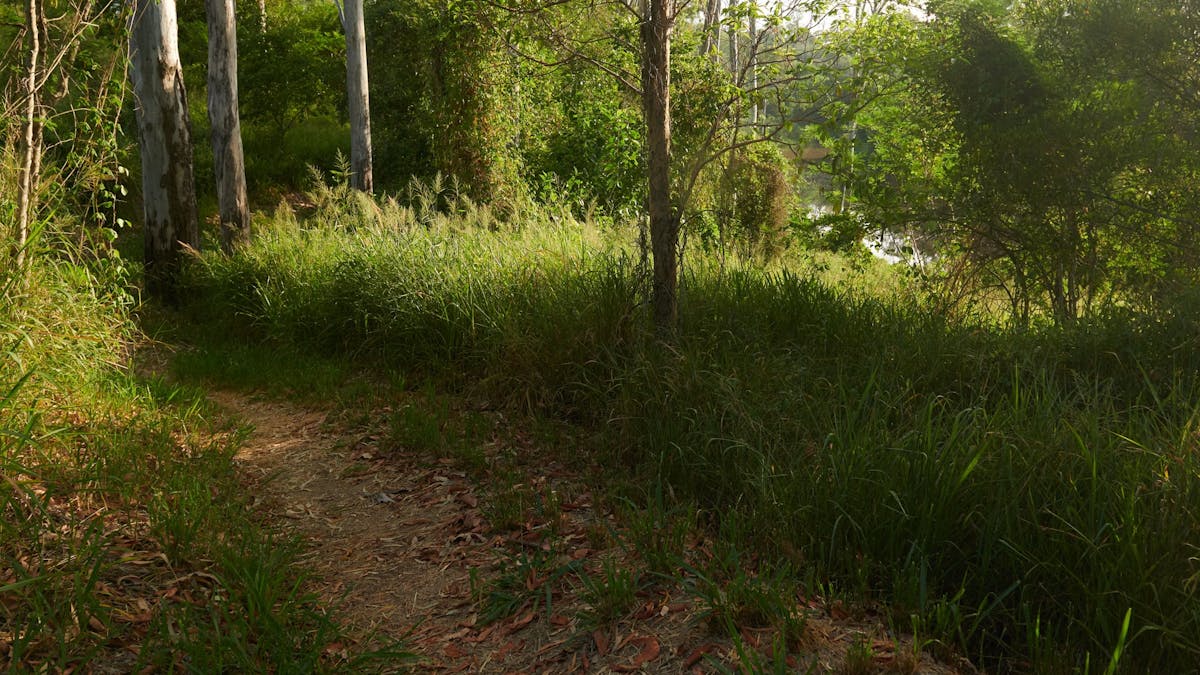 Mihi Junction Reserve