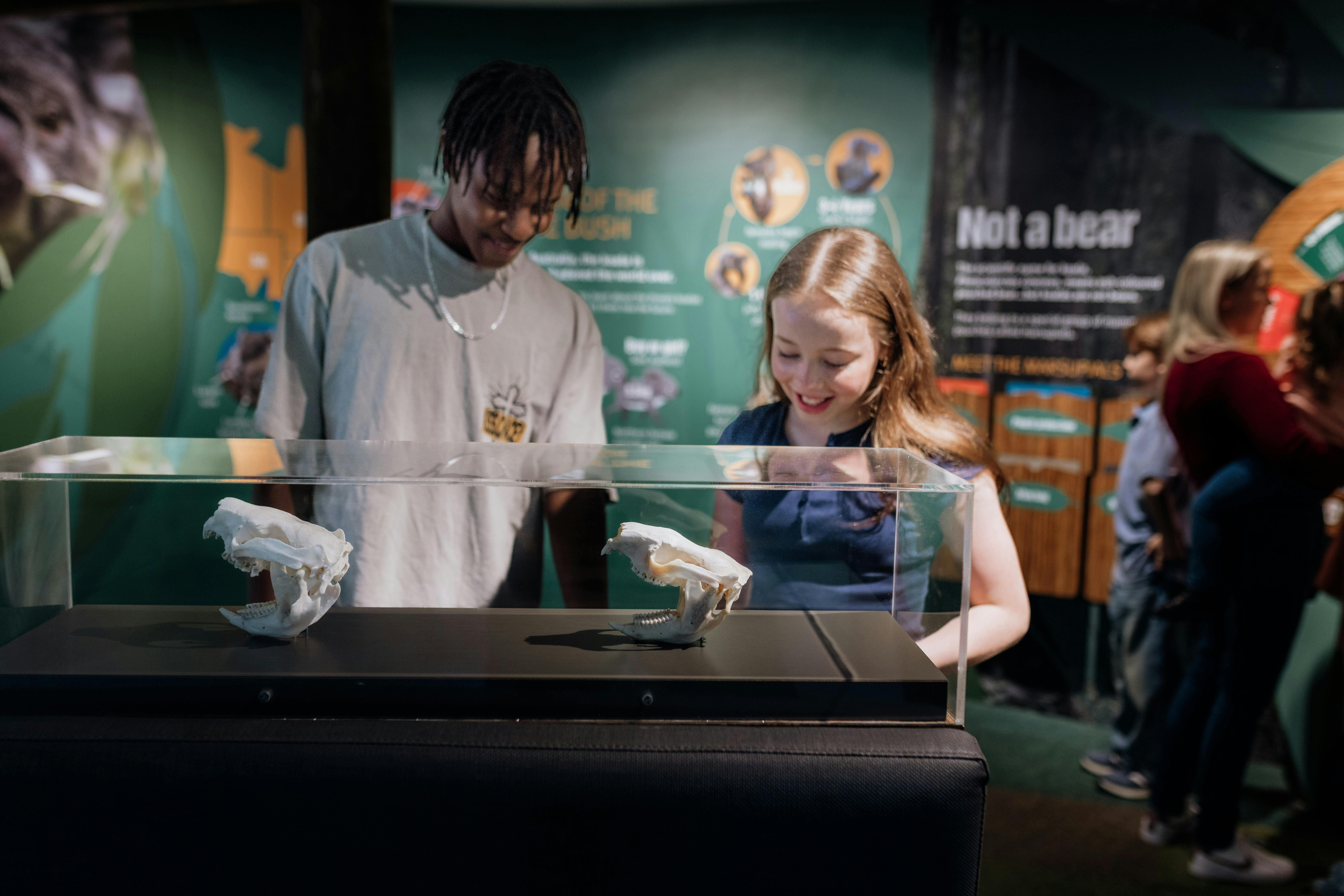 Learn, discover, and play at Daisy Hill Koala Centre.