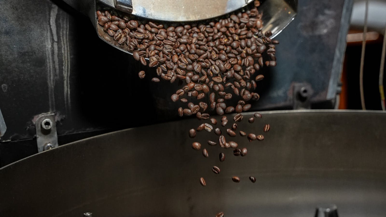 Freshly roasted coffee beans at Cheeky Devil Coffee Roasters