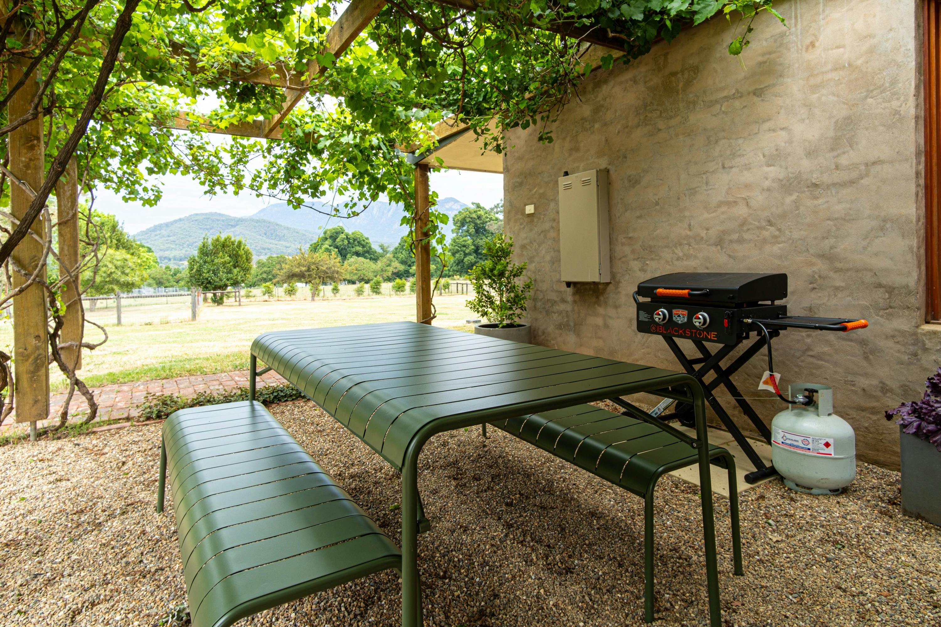 BBQ Area with a view at Buffalo Bliss with Alpine Valley Getaways
