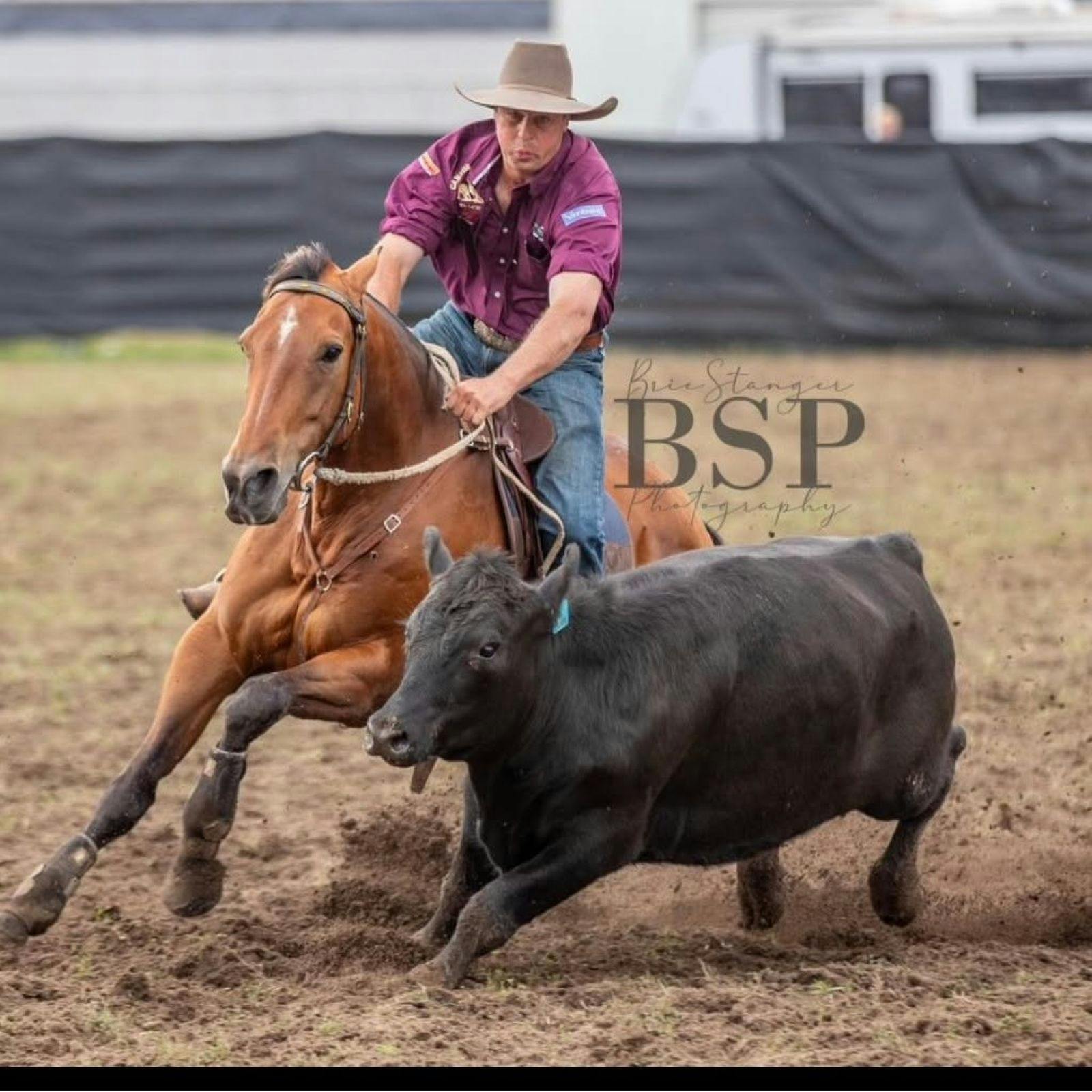 Golden Gate Campdraft