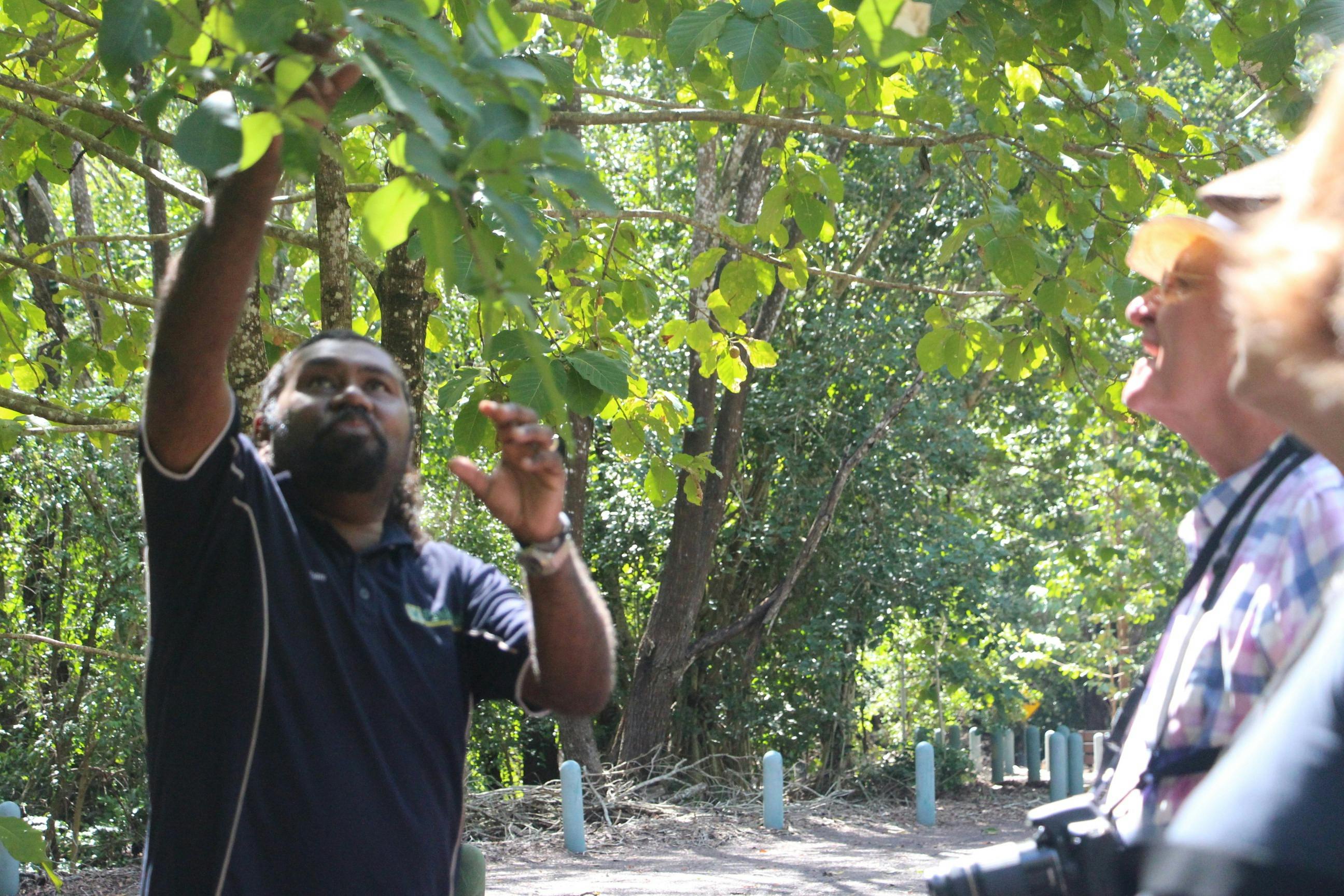 A man talking about local plant usage.