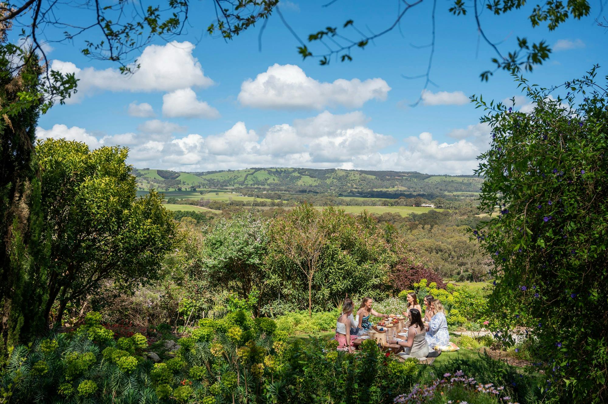 Tipsy Hill Estate Experiences