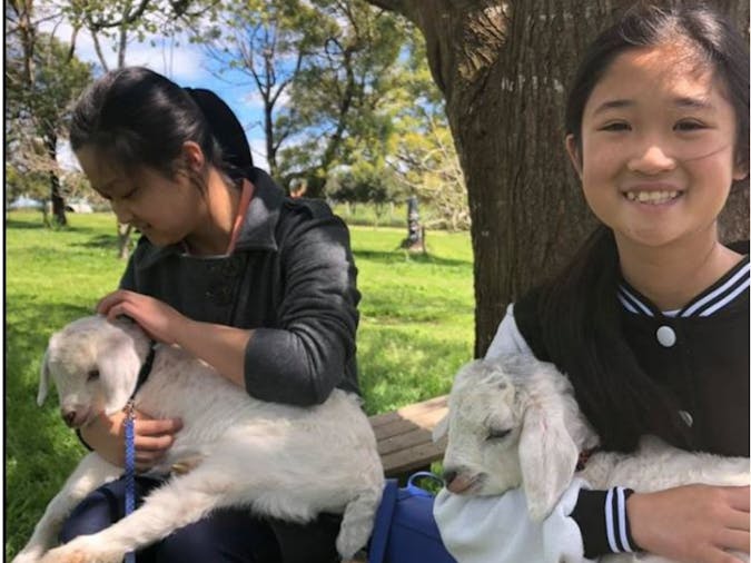 Behind The Scenes Guided Farm Tour