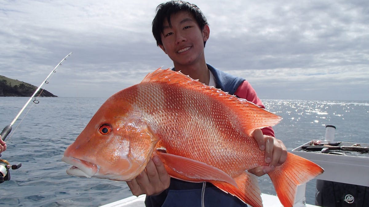 Picture has a angler holding a large red throat emperor that he has caught, he is on the boat. Picture has a angler holding a large red throat emperor that he has caught, he is on the boat.
