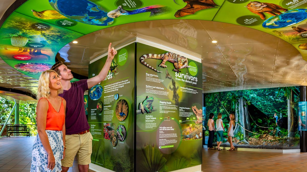 Couple engaging with the Rainforest Discovery Zone at Skyrail's Red Peak