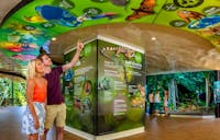 Couple engaging with the Rainforest Discovery Zone at Skyrail's Red Peak