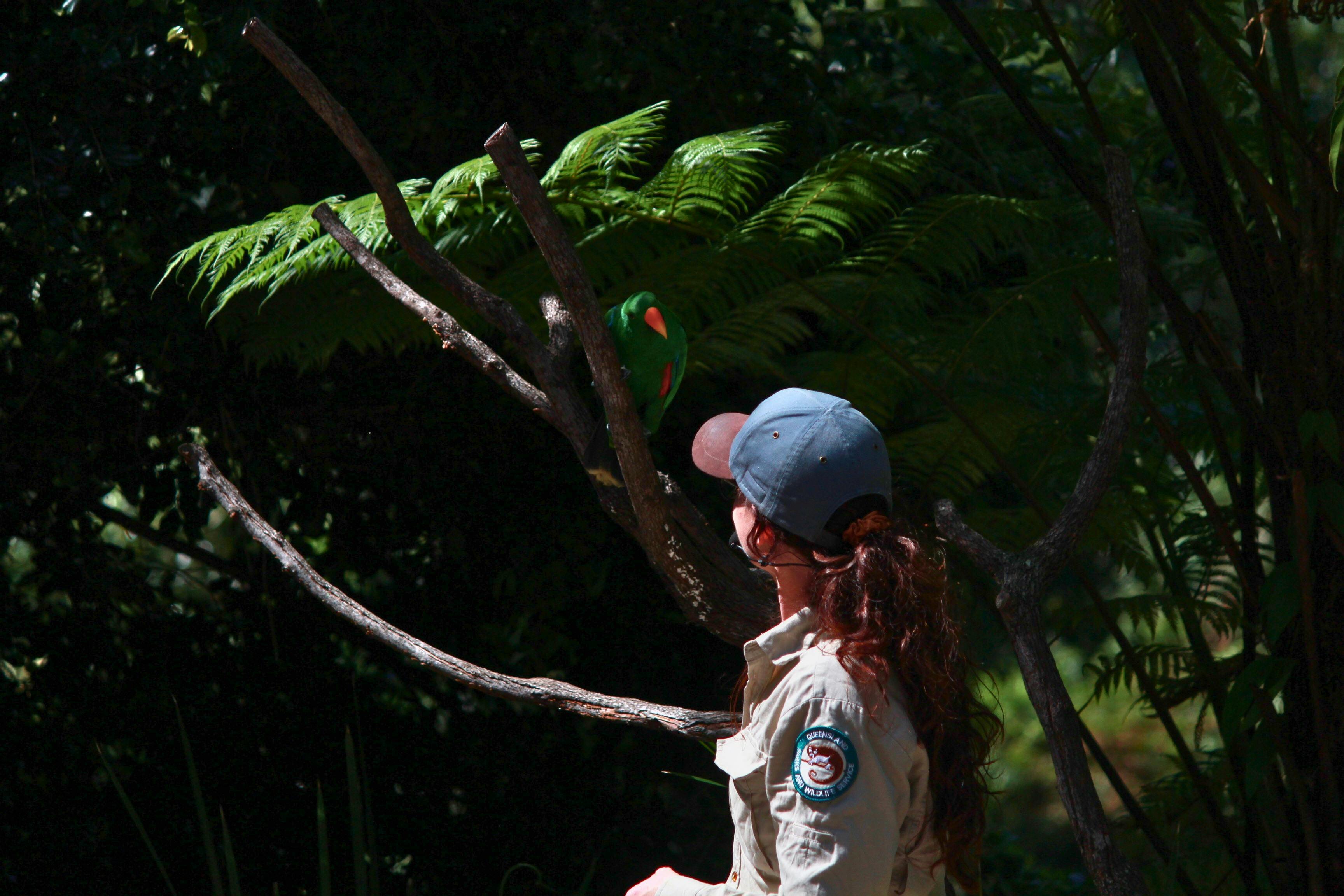 The Fleays in Flight show within the Amphitheatre is not to be missed!