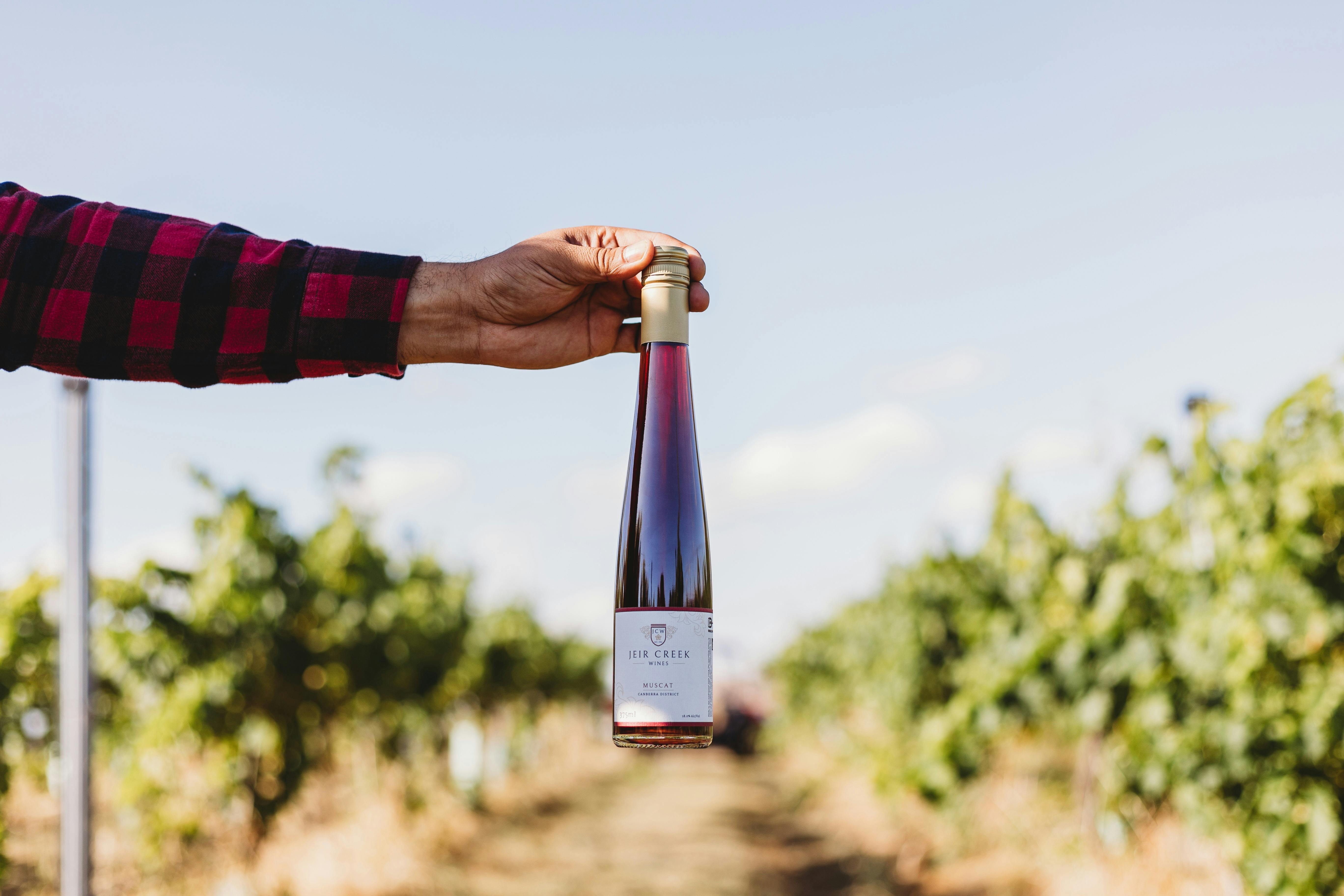 The Sweet Seduction: Unveiling the Irresistible Essence of Muscat's Hidden Delights at Jeir Creek Wi