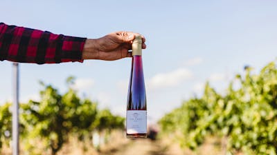 The Sweet Seduction: Unveiling the Irresistible Essence of Muscat's Hidden Delights at Jeir Creek Wi