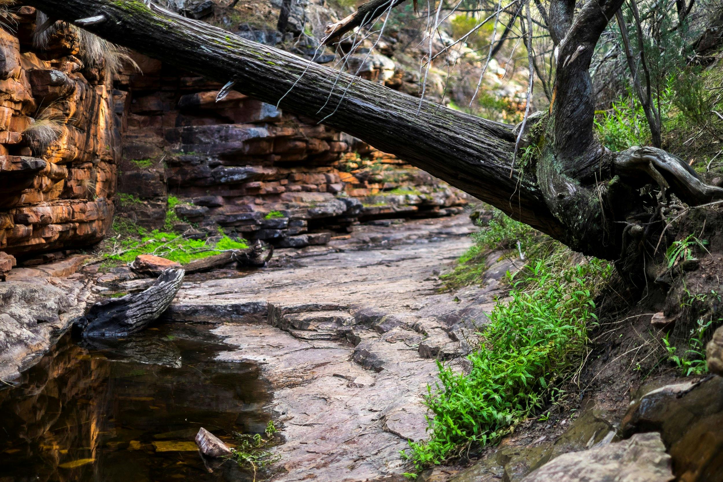 Mount Remarkable National Park