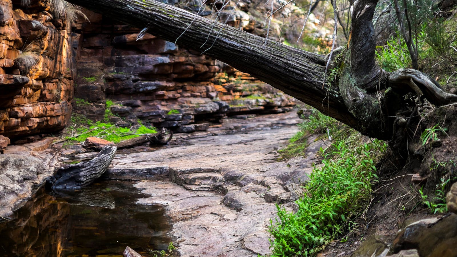 Mount Remarkable National Park